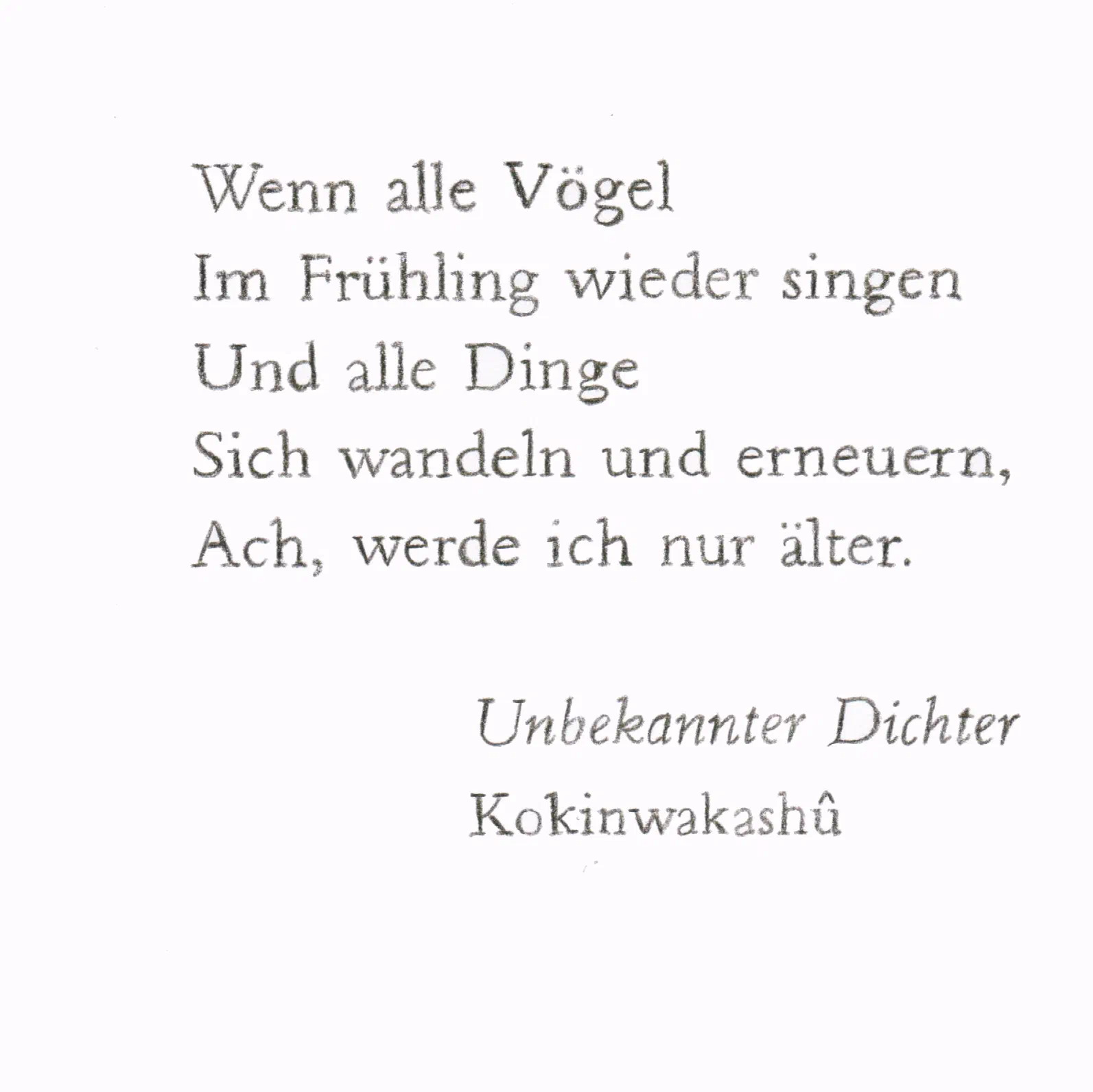 Frühlings-Tanka 6